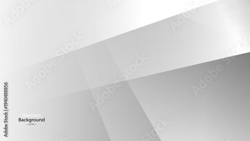 Gray tone and white color background abstract art vector