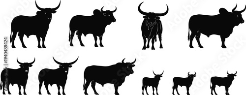 Bull silhouettes collection set, cattle farm animal bull icons livestock agriculture ranch vector illustration bundle