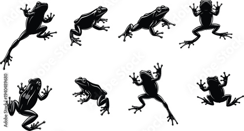 Frog silhouettes set, amphibian frog jumping climbing wildlife animal nature vector illustration collection