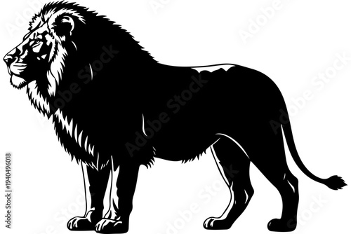 Black and White Line Drawing of a Majestic Lion