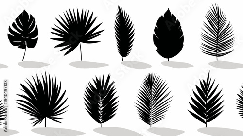 Seamless tropical palm tree leaves vector silhouettes border. Exotic botanical foliage black shapes with shadows on white background.