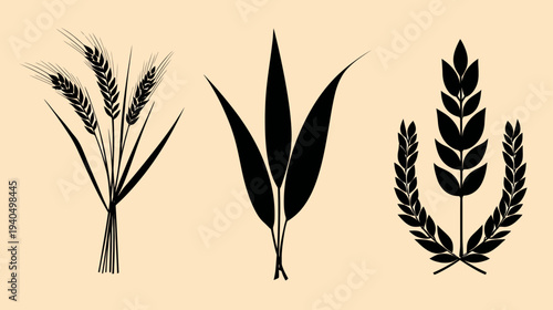 Collection of Black Wheat and Grain Silhouettes, Agricultural Emblems, and Cereal Plant Icons for Harvest and Farming