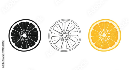 Citrus fruit slices in varying styles including a dark silhouette