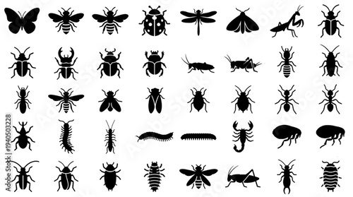 Insect Silhouette Icon Set Bug Animal Vector Collection Black Nature Entomology Symbols