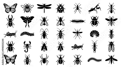 Bug Insect Silhouette Vector Icon Set Wildlife Nature Entomology Collection