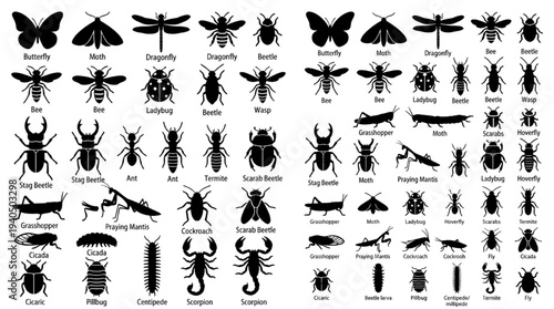 Wildlife Insect Silhouette Icon Set Bug Nature Entomology Vector Collection