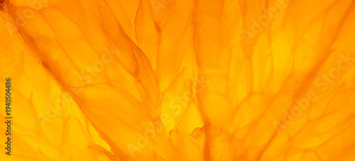 Fotografi Macro shot of backlit orange pulp texture for abstract background,An extreme clo