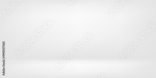 Modern color gray gradient spotlight curve line room perspective texture background.  Studio backdrop wallpaper light radius wall white astract simple modern