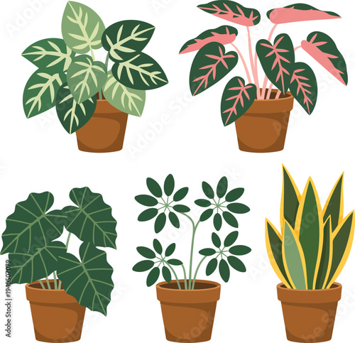 Minimalist houseplants in brown clay pots illustration on white background.