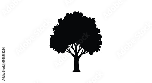 A dark full tree stands against a white background silhouette