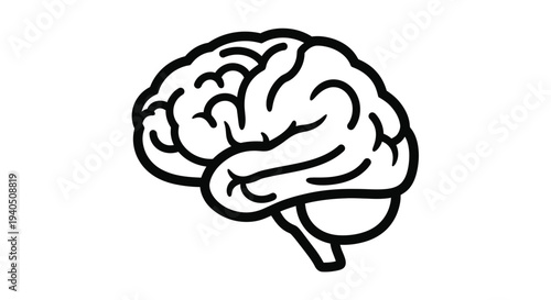 Detailed illustration of a human brain showcasing complex folds silhouette