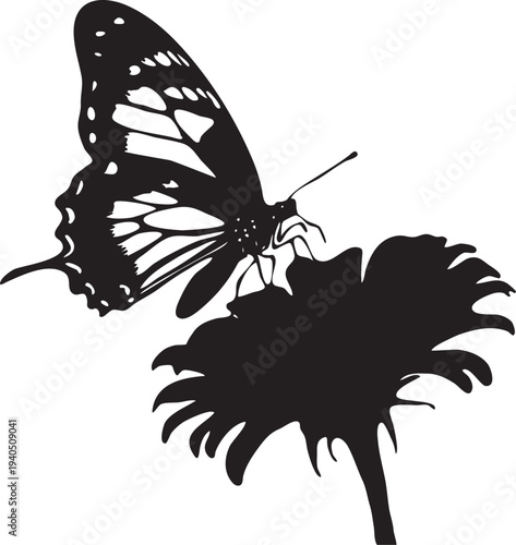 butterfly vector illustration