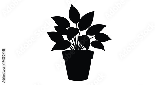 A potted plant with broad leaves presented as a silhouette