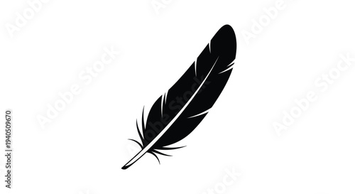 A single black feather depicted in a striking silhouette