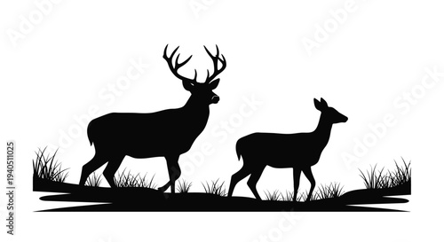 Two majestic deer stand amongst grasses a striking silhouette