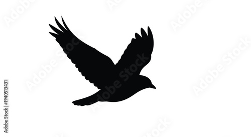 A black bird soars in flight against a white background silhouette