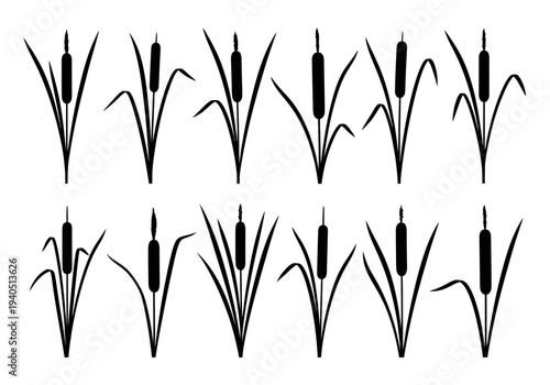 Set of cattail silhouettes in various poses