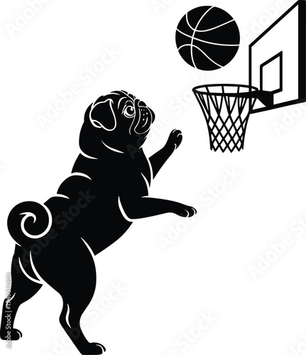 Pug playing basketball jumping to dunk ball into hoop