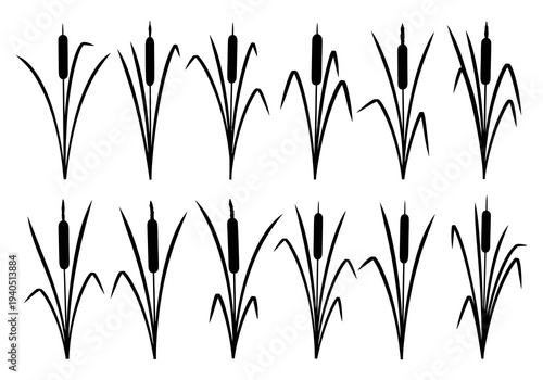 Set of black silhouette cattail plants icons