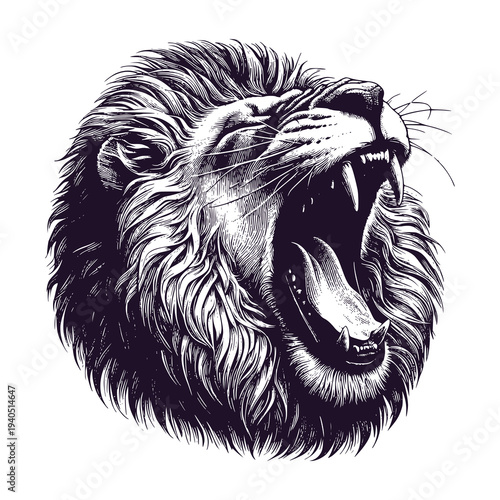 head of yawning lion