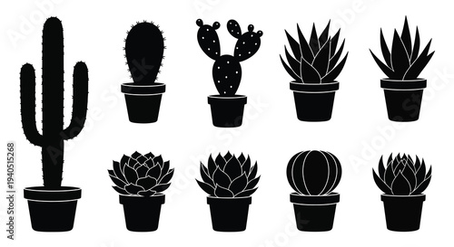 A collection of various potted cacti and succulents depicted in a stark black silhouette high quality professional detailed modern elegant stylish