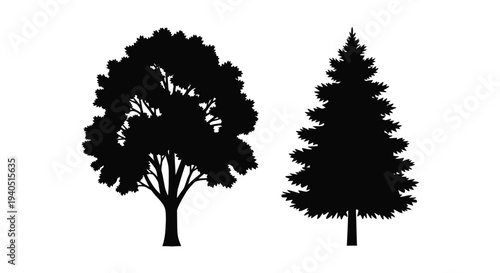 Two trees in stark contrast a detailed black silhouette