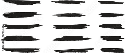 Set of 12 black brush strokes vector