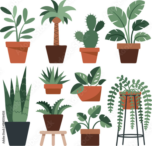 Minimalist indoor houseplants vector illustration s on white background.