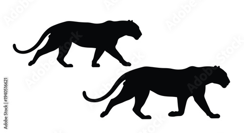 Two panthers in a stalking pose presented as a striking silhouette