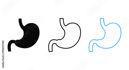Human stomach illustrations in varying styles including a silhouette