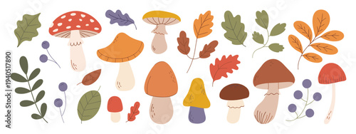 Autumn mushroom and leaf with berries fungi fall leaves