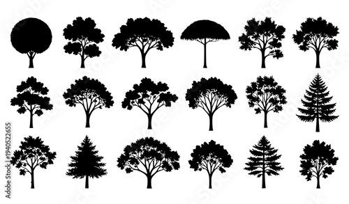Decorative black tree silhouette vector collection minimalist woodland design isolated on white background