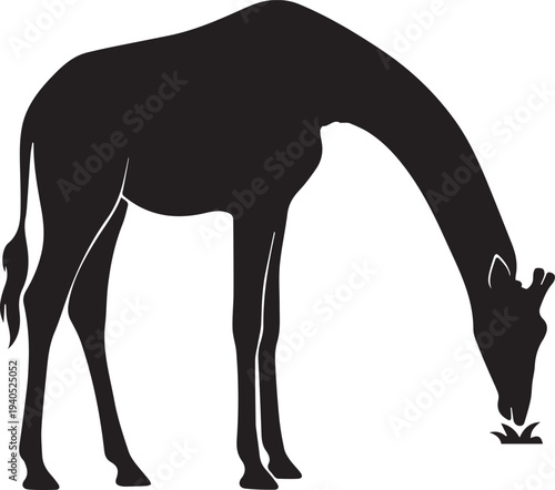 Tall African Giraffe Standing Profile Vector Silhouettes
