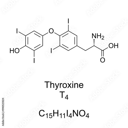 Thyroxine, T4, chemical formula and molecular structure. Hormone produced by the thyroid gland. Essential for metabolic rate, heart and muscle function, brain development, and bone health. Vector