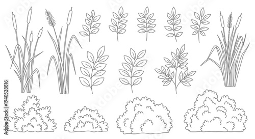 Set of Botanical Outline Elements, Tall Grass, Reeds, Leaves, and Bushes, Natural Foliage Collection, Isolated White Background