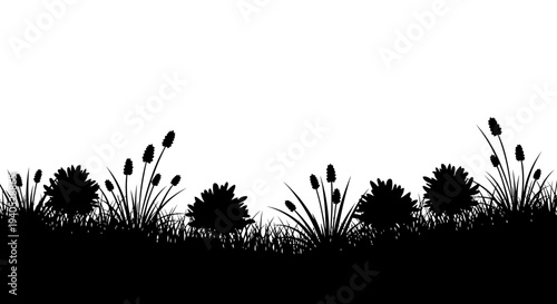 Seamless horizontal border silhouette of various grass and reed plants on an isolated white background.