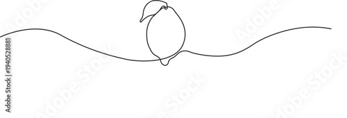Illustration of minimalist continuous line drawing of a lemon