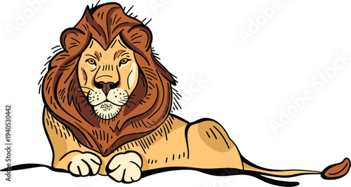Lion vector illustration for top header of layout or letterhead, hand-drawn big cat art