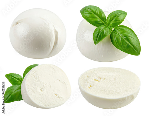 Fresh mozzarella cheese balls with basil leaves