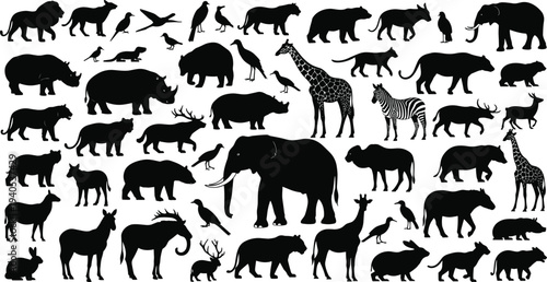Silhouettes of diverse animals including lion, elephant, giraffe, zebra, bear, deer, rabbit, birds, rhinoceros, showcasing wildlife biodiversity illustration.