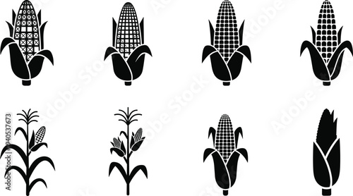 Corn cob and maize plant silhouette set, agriculture farming stalk and ear of corn icons, organic food vector illustration, isolated white.