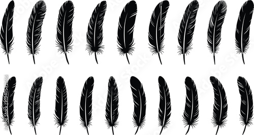 Collection of 18 black feather silhouettes in vector illustration style, isolated decorative bird quill designs for graphic design, tattoo art, and creative projects