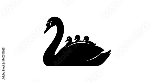 Mother swan with cygnets on her back silhouette.