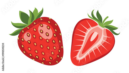 Fresh whole red strawberry and a vertical slice showing the internal texture and seeds isolated on a clean white background fruit vector.