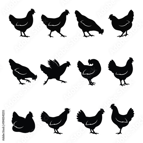 Set of Chicken and Hen Silhouettes in Various Poses