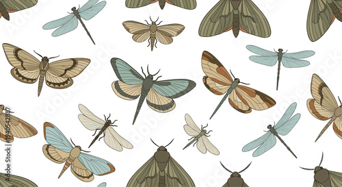 Beautiful seamless pattern of moths and dragonflies with detailed wing designs in earthy greens and blues over a clean white background.