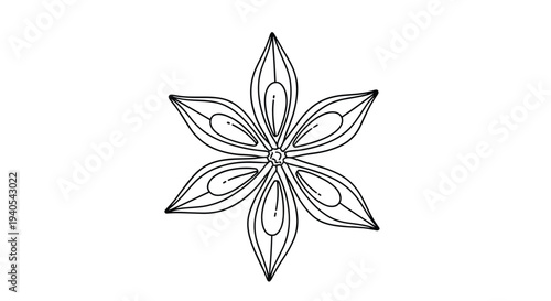 Single detailed line drawing of a star anise seed pod isolated on a white background suitable for culinary botanical or spice-themed illustrations.