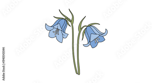 Elegant illustration of two bluebell flowers on green stems with long narrow leaves depicted in a soft color palette for garden or nature themes.