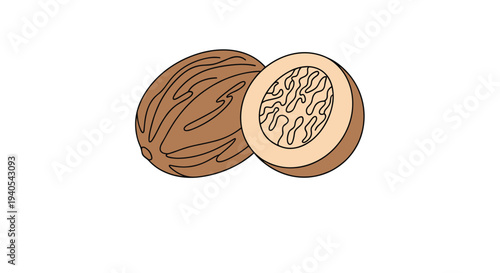 Illustration of a whole nutmeg seed next to a half-cut version revealing the intricate internal texture for spice and cooking-related designs.