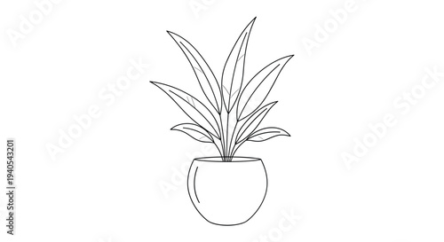 Minimalist line drawing of a leafy houseplant growing in a round pot with multiple long slender leaves stretching upwards in simple style.